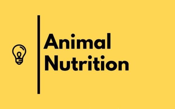 Animal Nutrition