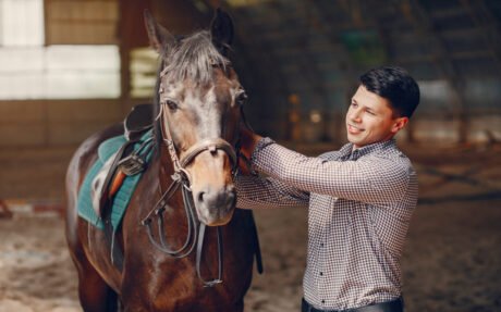 Horse Care Level 3 Advanced Diploma