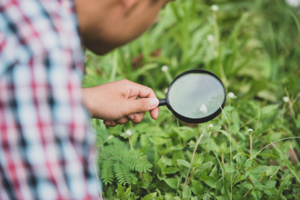 Agricultural Research and Development Level 3 Advanced Diploma