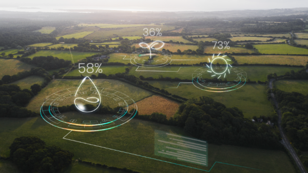 Sustainable Agriculture and Agroecology Level 3 Advanced Diploma