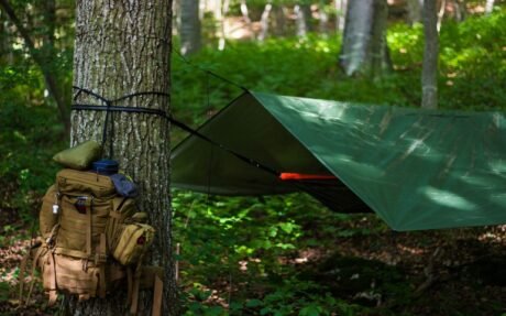 Bushcraft Fundamentals Building Your Survival Skillset 1