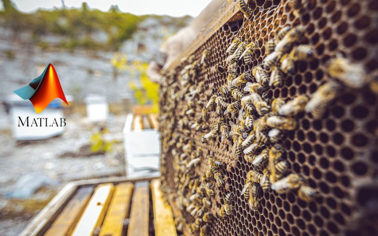 MATLAB Basics Artificial Bee colony Optimization Algorithm