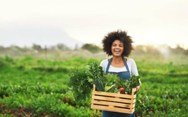 Farming Level 3 Advanced Diploma