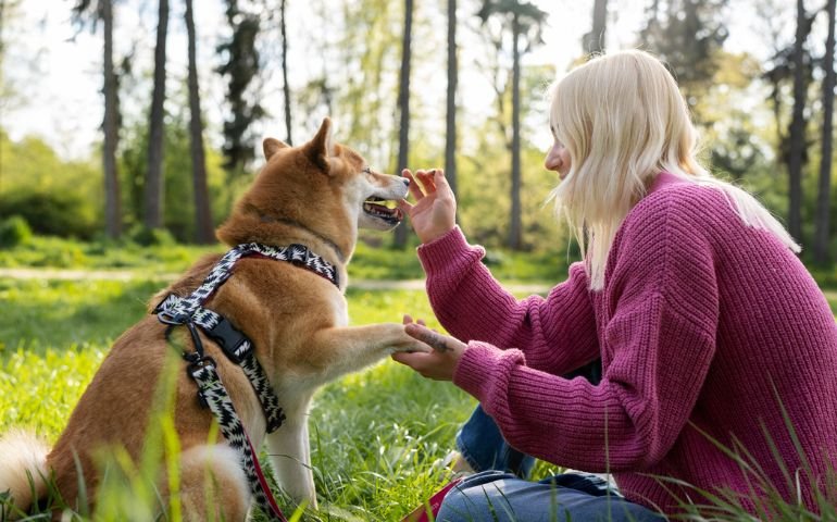 Animal Reiki Healing Certification