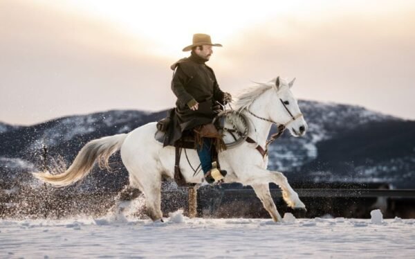 Horse Riding Level 3 Advanced Diploma