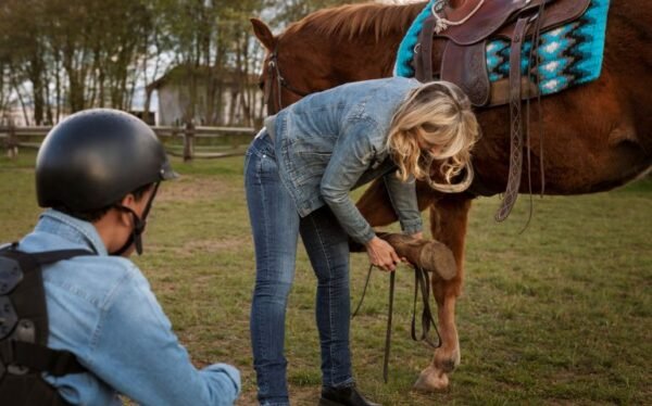 Horse First Aid and Emergency Care