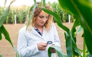 Agricultural Biotechnology Level 3 Advanced Diploma